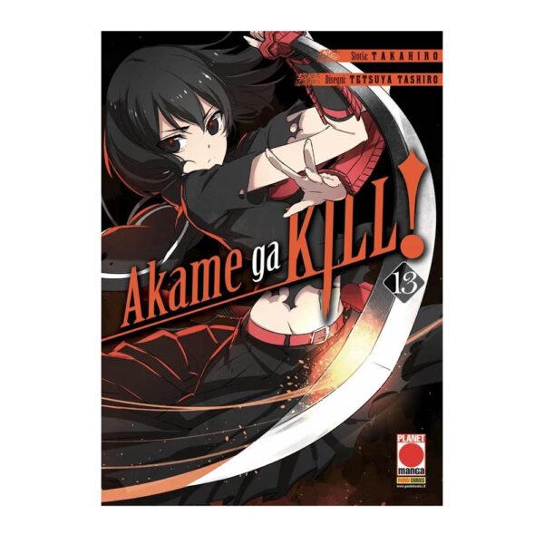 Akame Ga Kill! vol. 13