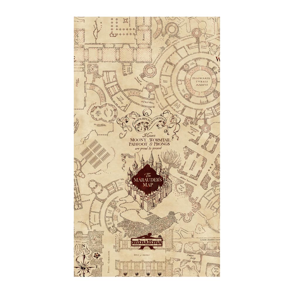 Mappa Del Malandrino Mapa De Hogwarts, Anime De Harry Potter, Harry ...