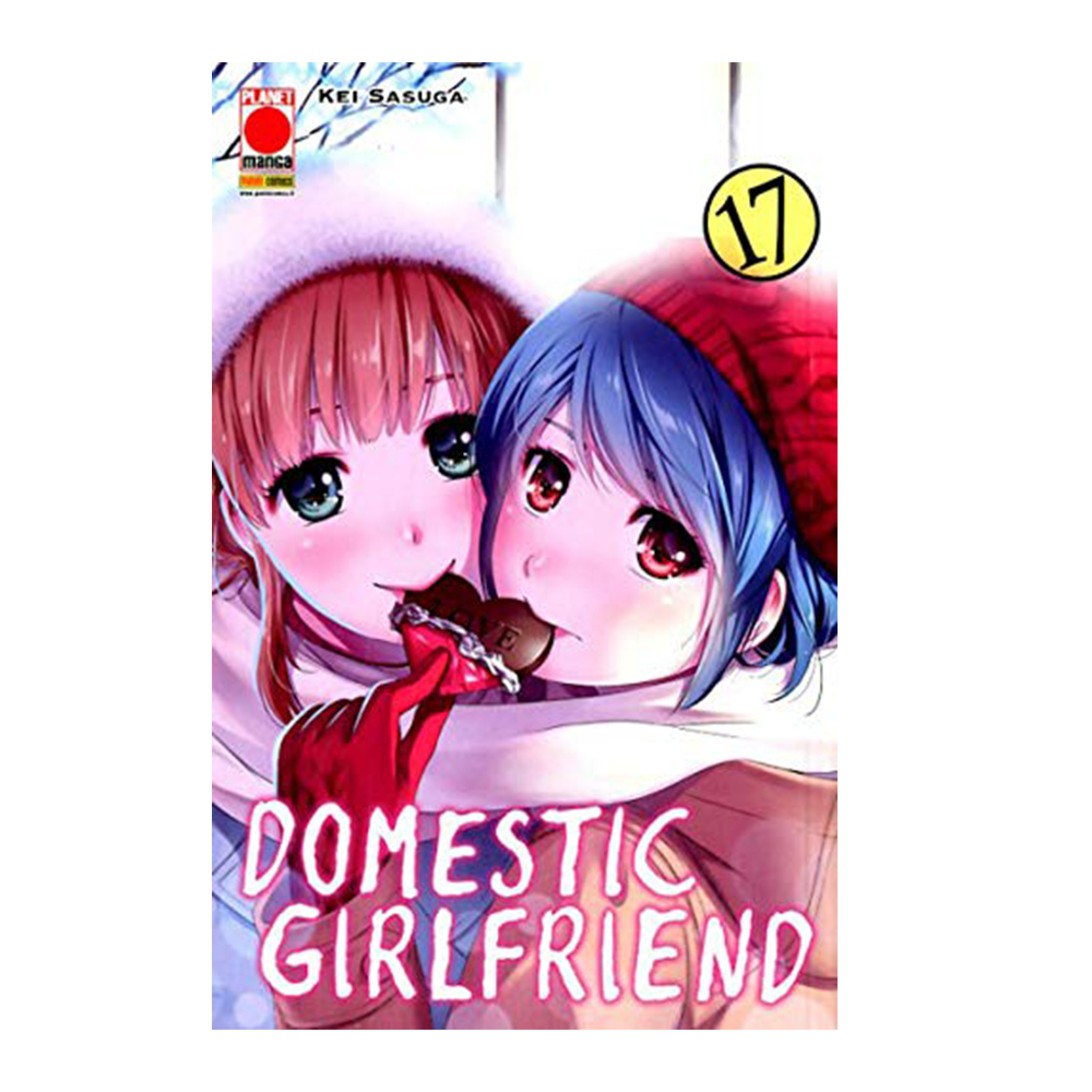 Domestic Girlfriend vol. 17