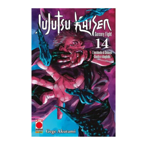 Jujutsu Kaisen - Sorcery Fight vol. 14