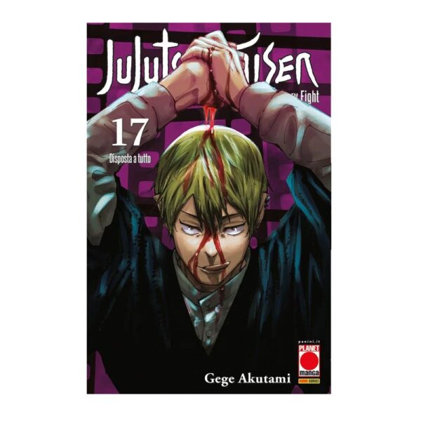 Jujutsu Kaisen - Sorcery Fight vol. 17