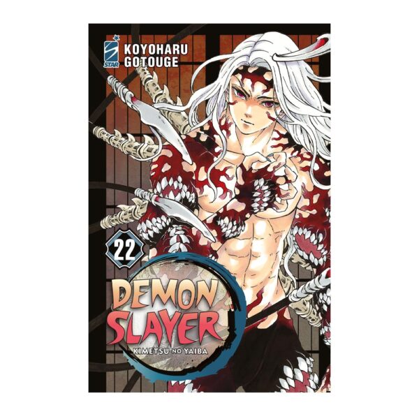 Demon Slayer vol. 22