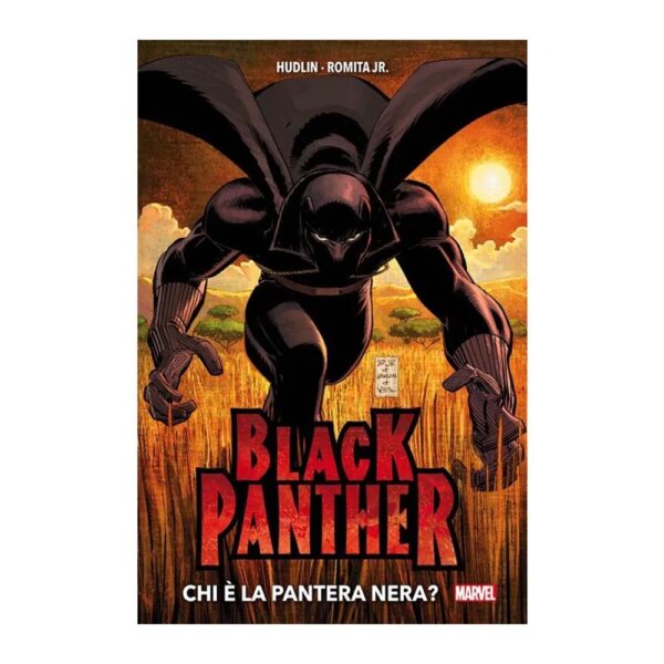 Black Panther - Chi è la Pantera Nera
